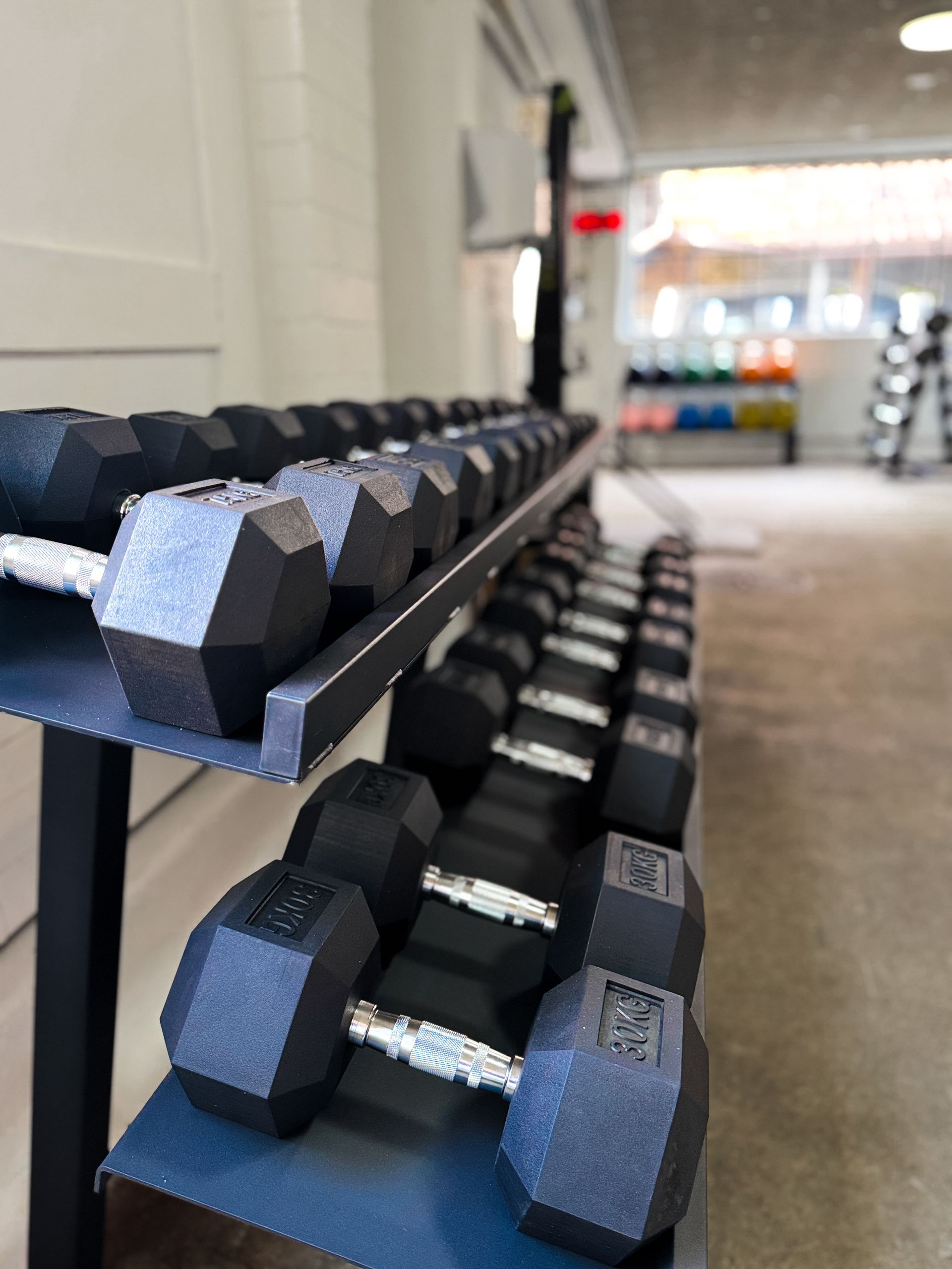 SchmitteGym
